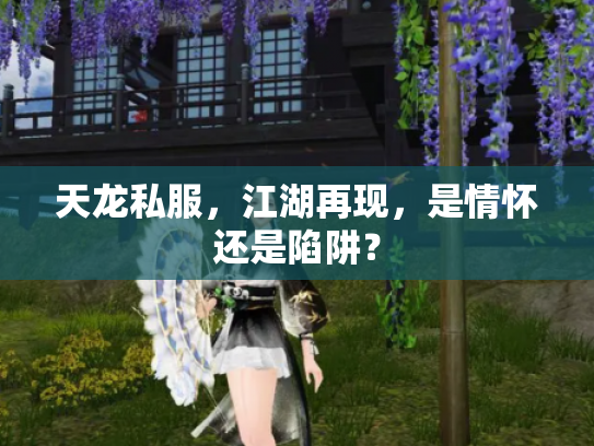 天龙私服，江湖再现，是情怀还是陷阱？