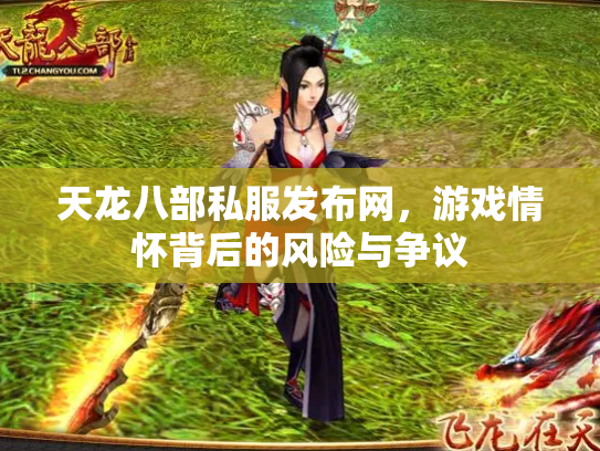 天龙八部私服发布网，游戏情怀背后的风险与争议