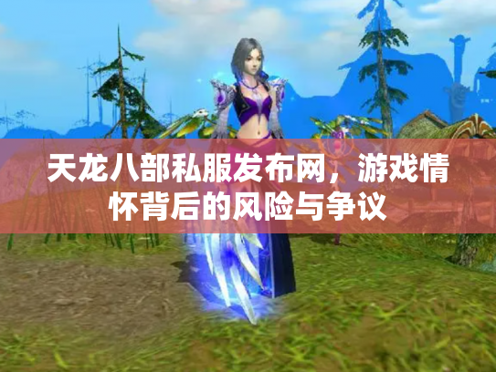 天龙八部私服发布网，游戏情怀背后的风险与争议