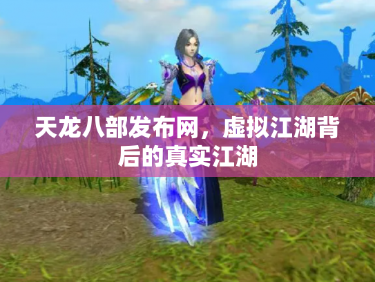 天龙八部发布网，虚拟江湖背后的真实江湖