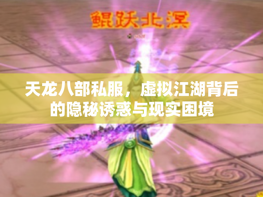 天龙八部私服，虚拟江湖背后的隐秘诱惑与现实困境