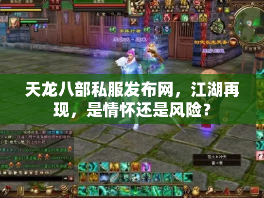 天龙八部私服发布网，江湖再现，是情怀还是风险？