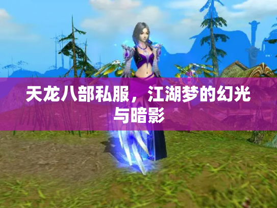 天龙八部私服，江湖梦的幻光与暗影