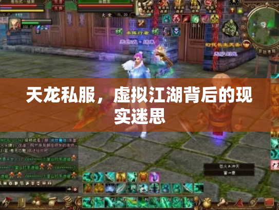 天龙私服，虚拟江湖背后的现实迷思