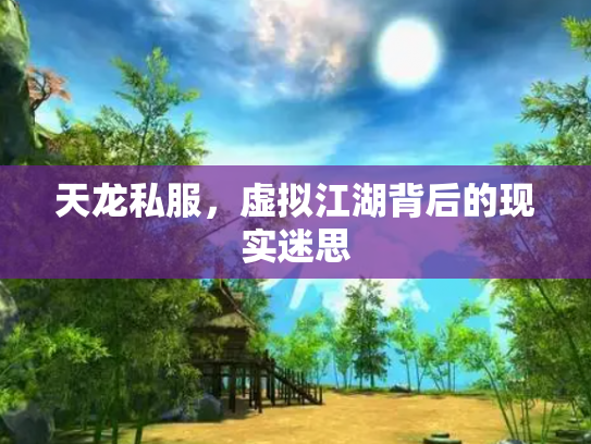 天龙私服，虚拟江湖背后的现实迷思