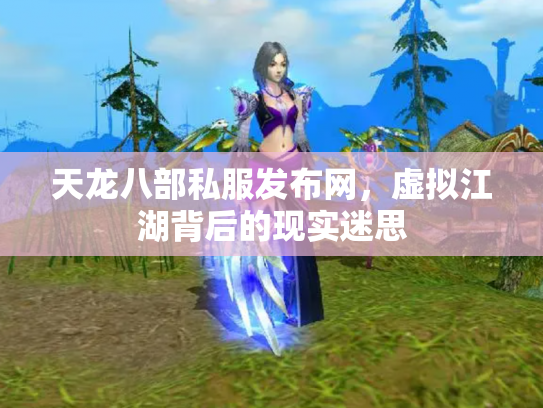 天龙八部私服发布网，虚拟江湖背后的现实迷思
