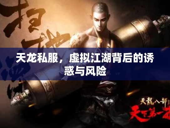 天龙私服，虚拟江湖背后的诱惑与风险