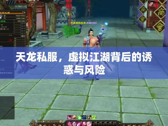 天龙私服，虚拟江湖背后的诱惑与风险