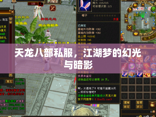 天龙八部私服，江湖梦的幻光与暗影
