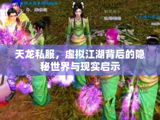 天龙私服，虚拟江湖背后的隐秘世界与现实启示