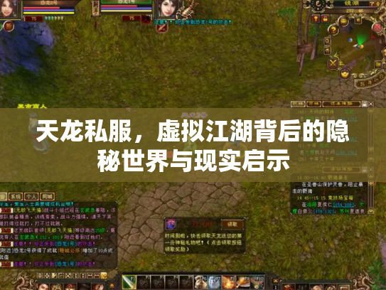天龙私服，虚拟江湖背后的隐秘世界与现实启示