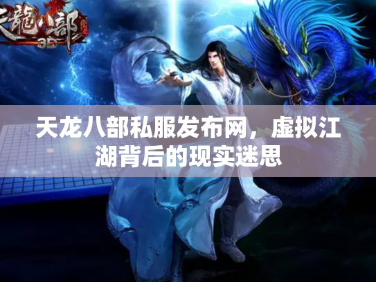 天龙八部私服发布网，虚拟江湖背后的现实迷思