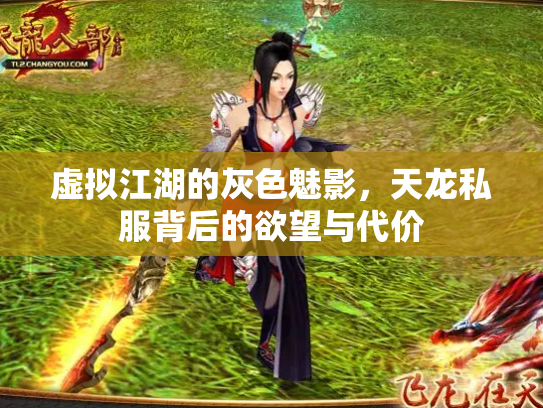 虚拟江湖的灰色魅影，天龙私服背后的欲望与代价