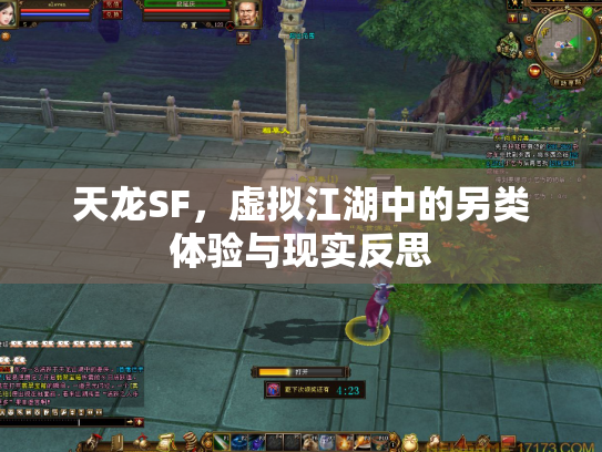 天龙SF，虚拟江湖中的另类体验与现实反思