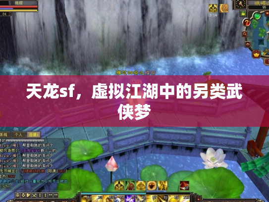 天龙sf，虚拟江湖中的另类武侠梦