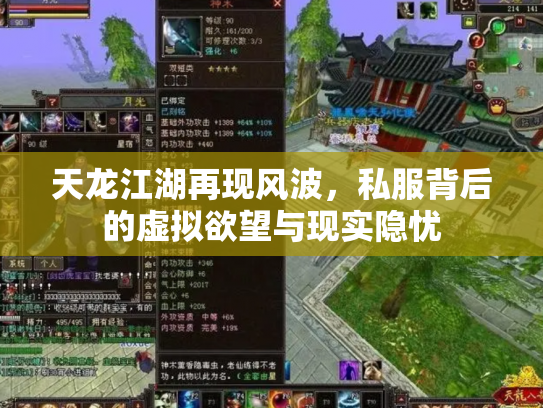 天龙江湖再现风波，私服背后的虚拟欲望与现实隐忧