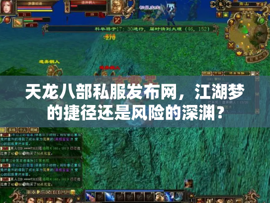 天龙八部私服发布网，江湖梦的捷径还是风险的深渊？