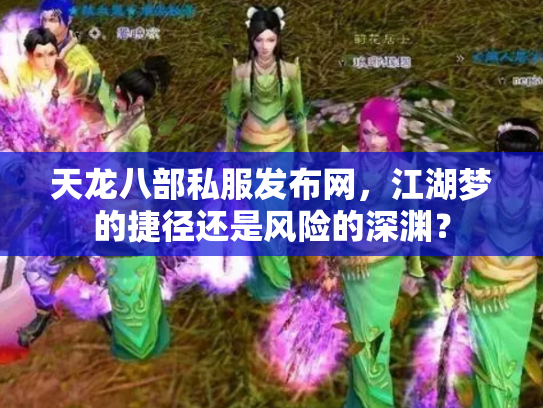 天龙八部私服发布网，江湖梦的捷径还是风险的深渊？