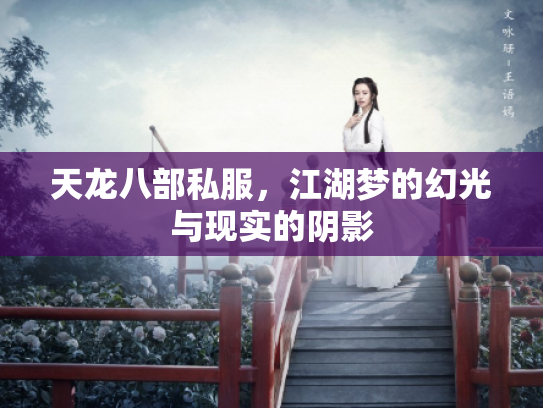 天龙八部私服，江湖梦的幻光与现实的阴影