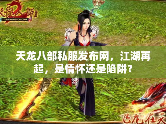 天龙八部私服发布网，江湖再起，是情怀还是陷阱？
