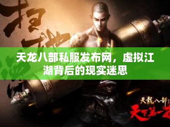 天龙八部私服发布网，虚拟江湖背后的现实迷思