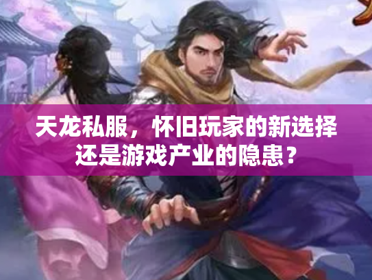 天龙私服，怀旧玩家的新选择还是游戏产业的隐患？