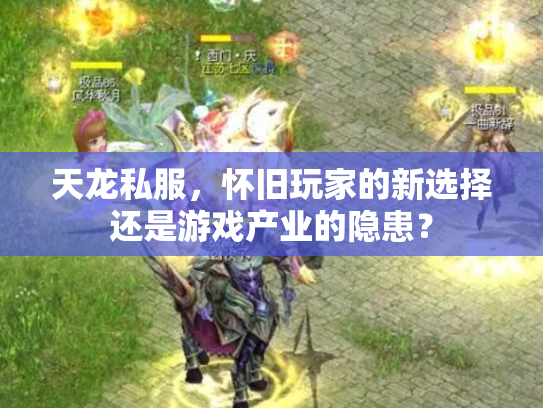 天龙私服，怀旧玩家的新选择还是游戏产业的隐患？
