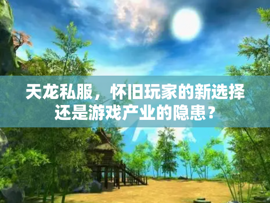 天龙私服，怀旧玩家的新选择还是游戏产业的隐患？
