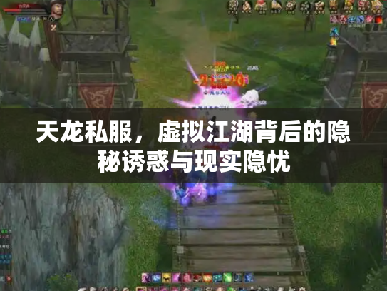 天龙私服，虚拟江湖背后的隐秘诱惑与现实隐忧