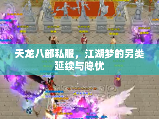 天龙八部私服，江湖梦的另类延续与隐忧