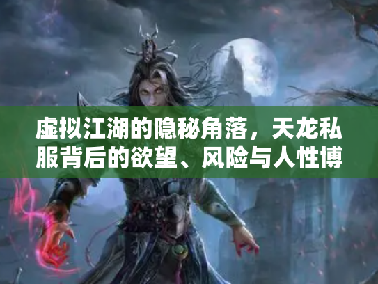 虚拟江湖的隐秘角落，天龙私服背后的欲望、风险与人性博弈