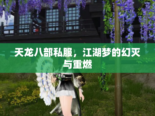 天龙八部私服，江湖梦的幻灭与重燃