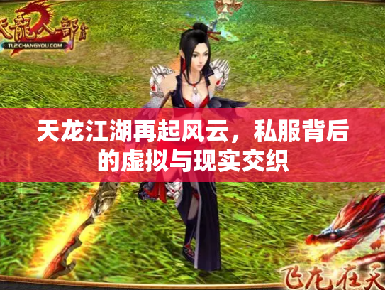 天龙江湖再起风云，私服背后的虚拟与现实交织