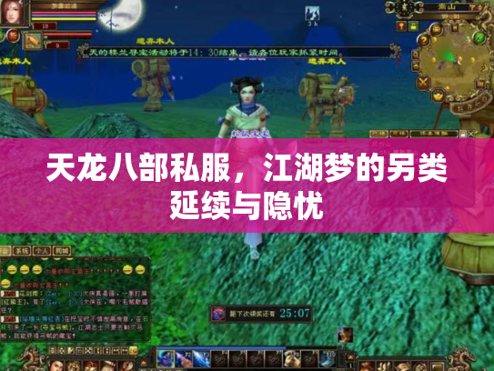 天龙八部私服，江湖梦的另类延续与隐忧