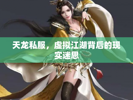 天龙私服，虚拟江湖背后的现实迷思