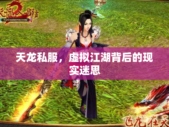 天龙私服，虚拟江湖背后的现实迷思