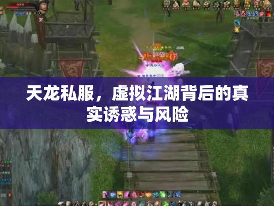 天龙私服，虚拟江湖背后的真实诱惑与风险