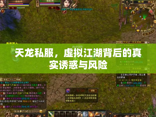天龙私服，虚拟江湖背后的真实诱惑与风险