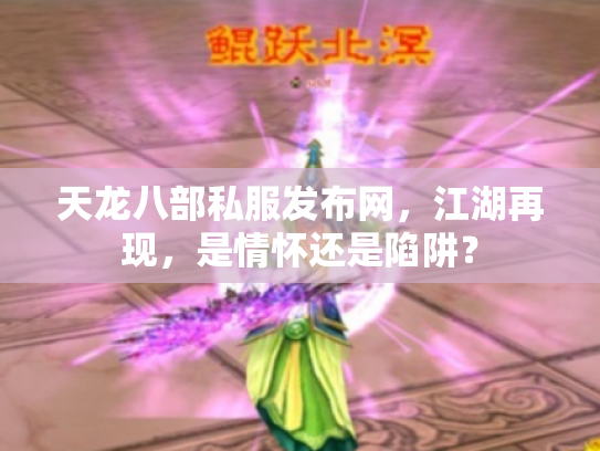 天龙八部私服发布网，江湖再现，是情怀还是陷阱？