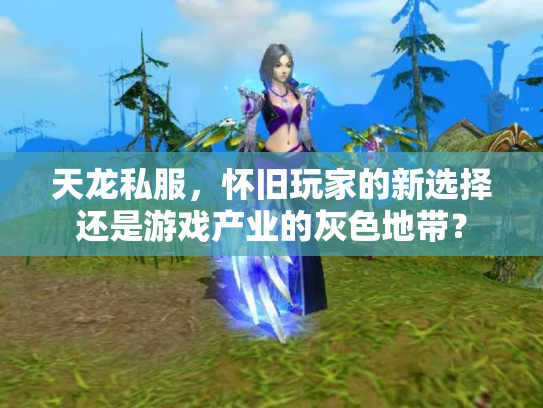 天龙私服，怀旧玩家的新选择还是游戏产业的灰色地带？