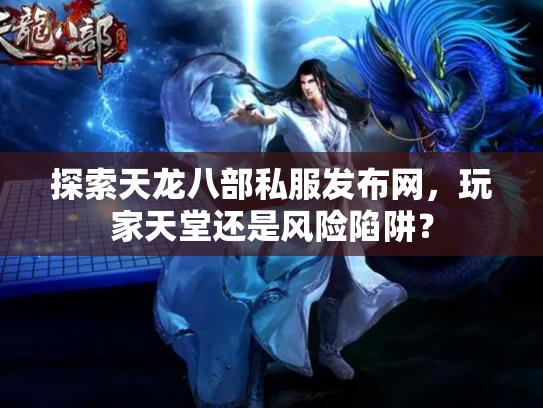 探索天龙八部私服发布网，玩家天堂还是风险陷阱？