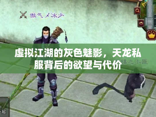 虚拟江湖的灰色魅影，天龙私服背后的欲望与代价