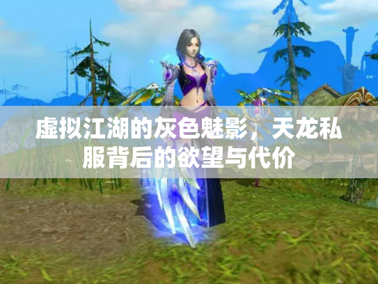 虚拟江湖的灰色魅影，天龙私服背后的欲望与代价
