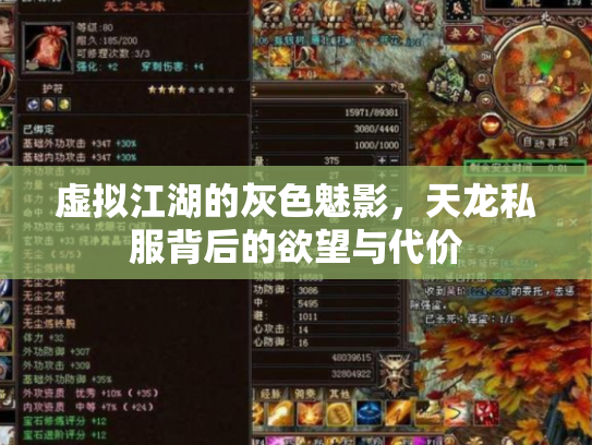 虚拟江湖的灰色魅影，天龙私服背后的欲望与代价