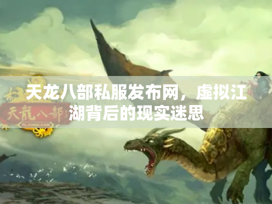天龙八部私服发布网，虚拟江湖背后的现实迷思