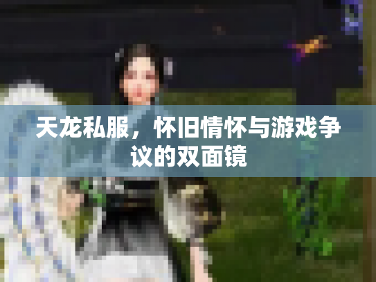 天龙私服，怀旧情怀与游戏争议的双面镜