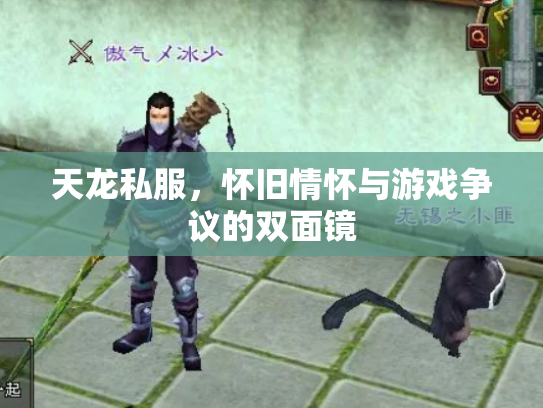 天龙私服，怀旧情怀与游戏争议的双面镜