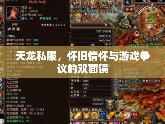 天龙私服，怀旧情怀与游戏争议的双面镜