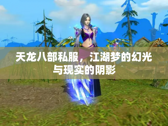 天龙八部私服，江湖梦的幻光与现实的阴影