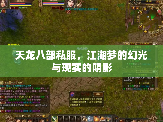 天龙八部私服，江湖梦的幻光与现实的阴影